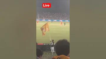আমার কাছাকাছি সুস্বাদু আচরণ