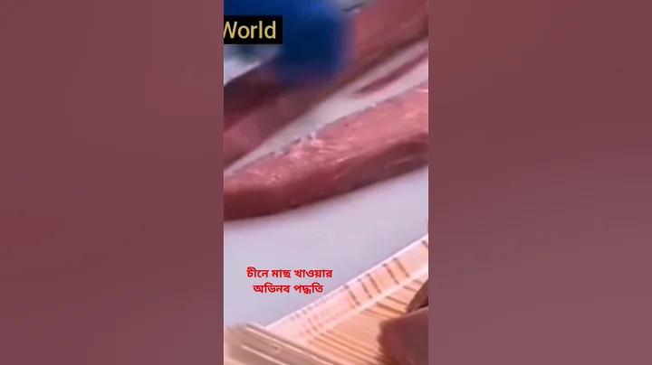 স্লট fc