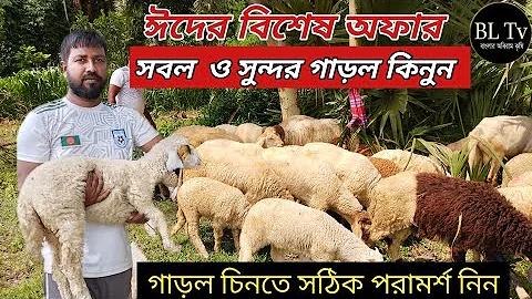 মৃৎশিল্পের স্ট্যাম্পের গভীরতা কত হওয়া উচিত