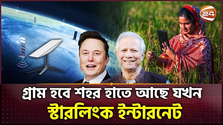 হ্যামস্টার কম্ব্যাট অ্যাপ