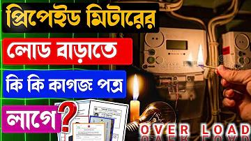 চোলোখেলি লাইভ