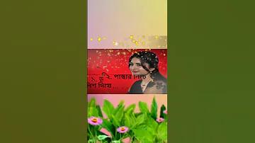 কিভাবে ক্রিকেট স্কোরার হওয়া যায়