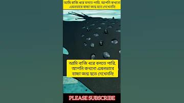 চিনি কত টাকা কেজি