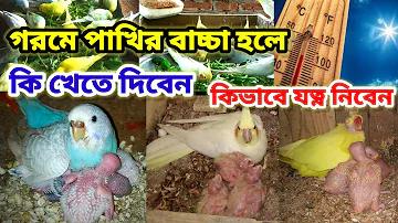 আধার কার্ডে ফিঙ্গারপ্রিন্ট না হলে কি করব