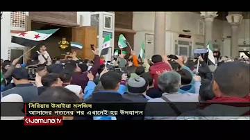 বিশ্ব রঙ