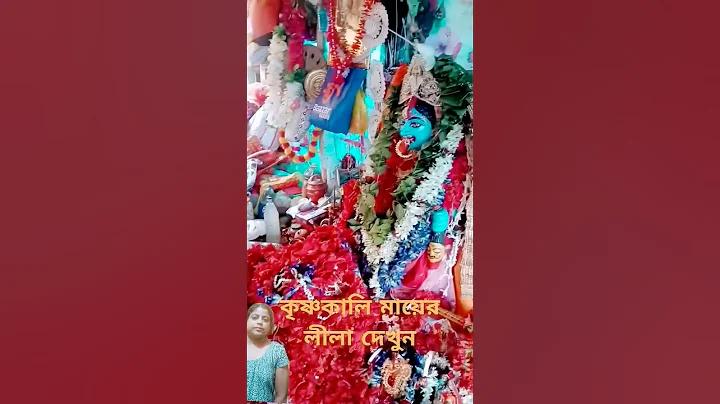 পিজি স্লট এশিয়া