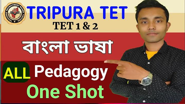 জমির নকশা