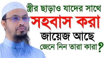 পাশা খেলা থেকে ক্যাসিনো