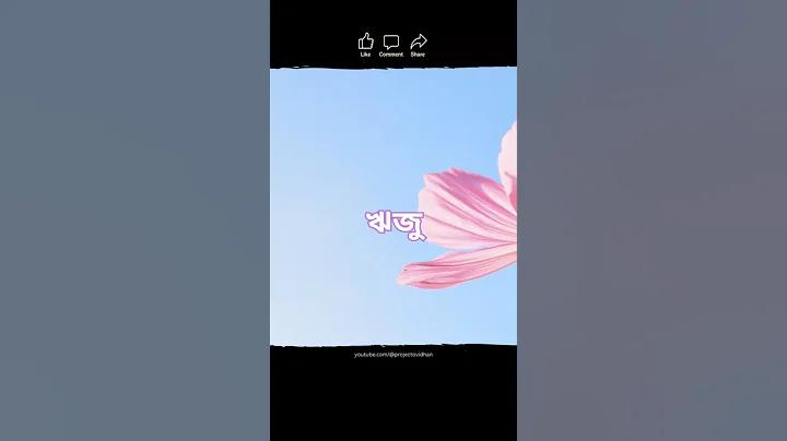 অবৈধ meaning in english