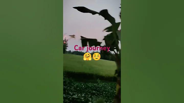 ডেইলি স্টার বাংলা বিনোদন