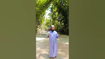 স্লট: গেইশার বাগান