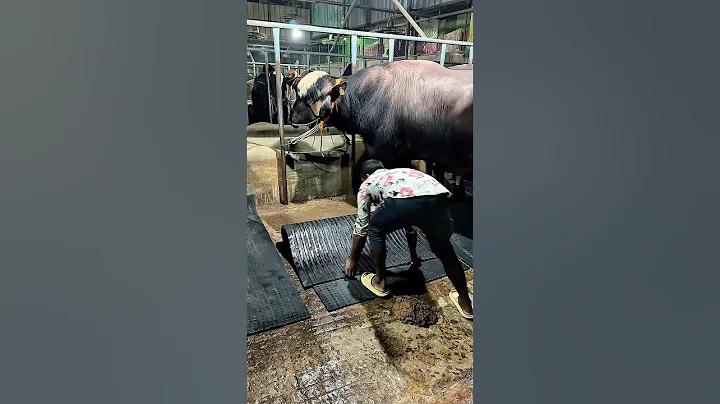 অতিথি রেস্টুরেন্ট রাজশাহী