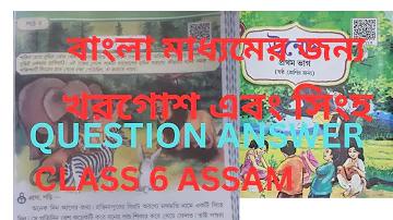 উইকেটে কয়টি বল থাকে