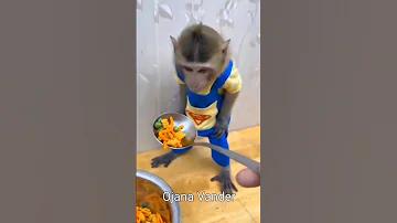 বিকাশ হেল্পলাইন নাম্বার