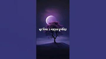 কীভাবে প্রতিবার স্লট মেশিন জিতবেন: একটি সম্পূর্ণ গাইড