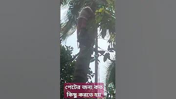 মোবাইল ফোন কে আবিষ্কার করেন
