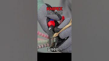 কেএল স্টার বনাম এসএসএফ প্যান্থার লাইভ স্কোর