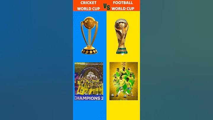 ফোন নাম্বার