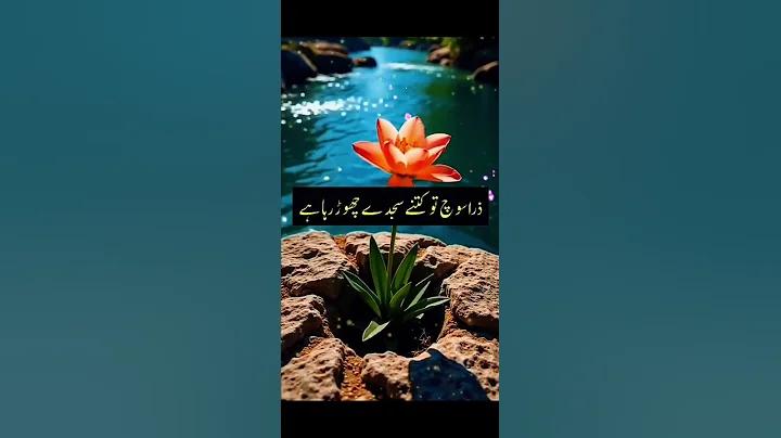 ওয়েব স্লট পরীক্ষা করুন