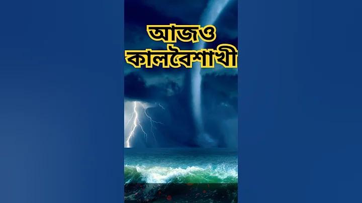 লুডু কিং apk