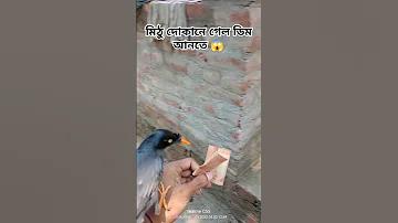 ট্রায়াল ব্যাকারাত