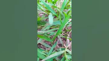 আধার কার্ডে কয়টি নম্বর আছে