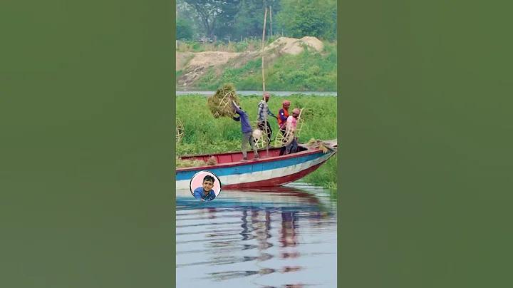 জীবন বোধ