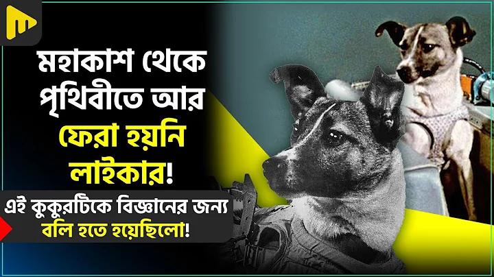 লভ্যাংশ কি