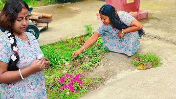 ওয়েব স্লট ১০ টাকা জমা দিয়ে ১০০ ডলার