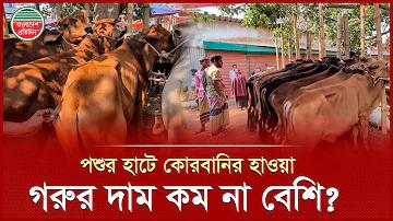 বাংলাদেশ রিয়েল মানি অনলাইন ক্যাসিনো