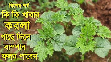 তিন পাত্তি গেম