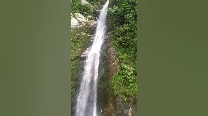 বাঙালি গৃহিণী