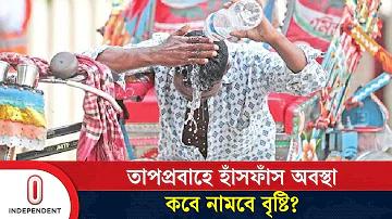 পিনিক্স পিজিটি তৈরি করছে