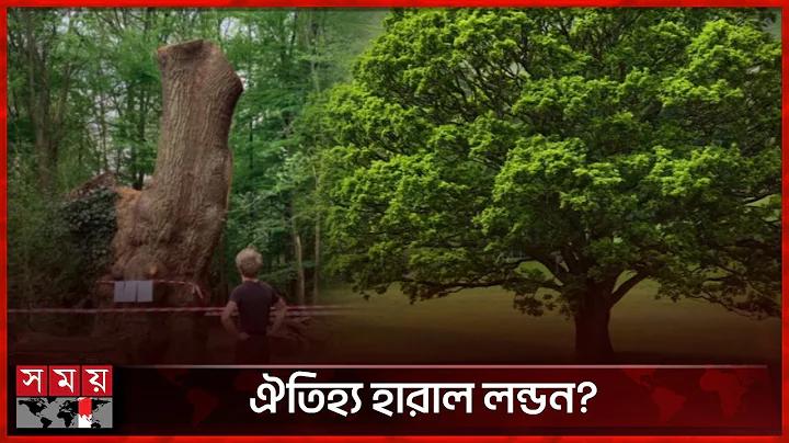 ফোন নাম্বার দিয়ে নাম ঠিকানা জানার উপায়