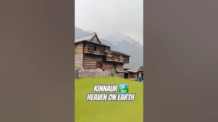 ঢোলা থানার ঘটনা