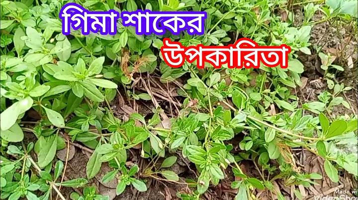 ৬ ক্যারেক্টার পাসওয়ার্ড কয়টি কম্বিনেশন থাকে