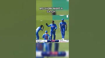 খবর ডানা