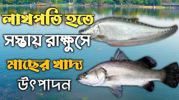 অনলাইন জুয়া বন্ধে বেটিং সাইটের তালিকা করছে বিটিআরসি