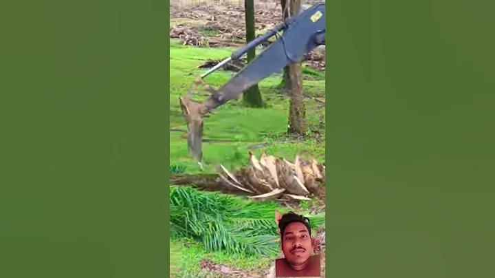 পপ সঙ্গীত