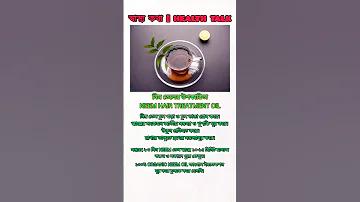 দাবার শহরে ক্রিকেট উন্মাদনা
