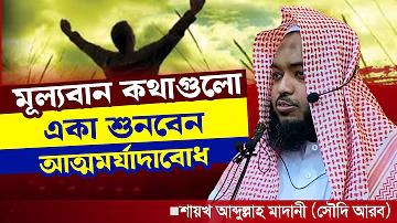 স্লট মেশিন মতভেদ আপডেট