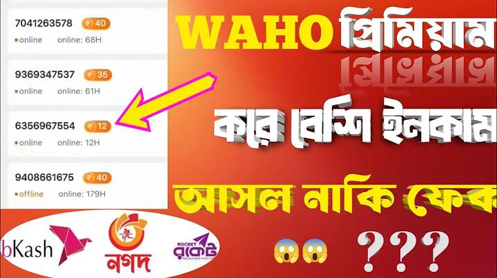 মিরপুরে বিনোদন