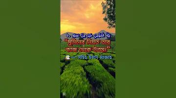 সল্টা ক্যাসিনো অনলাইন