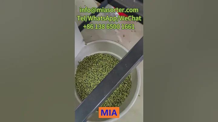 স্লট গেম 777 ফ্রি