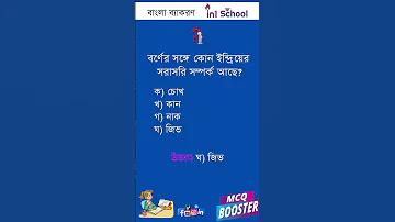 স্লট ওয়ালেট 2023