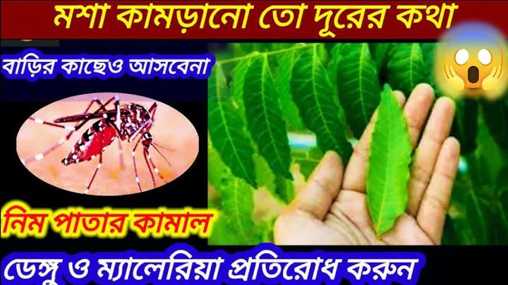 ওয়েব স্লট ফাঁক 10 পেতে 100