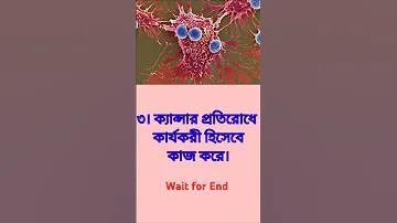বোনের সমার্থক শব্দ কি কি