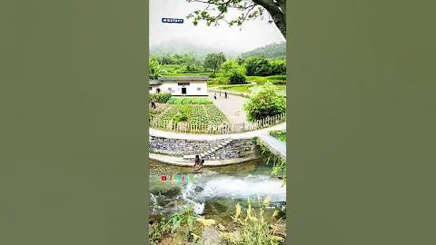 teletalk.com.bd result