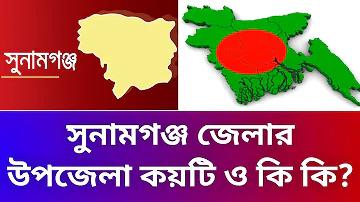 স্লট ওয়ালেট ভেঙে পড়া সহজ