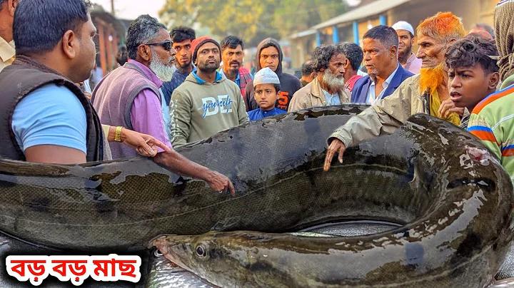 পাঞ্জাব কিংস বনাম সানরাইজার্স হায়দ্রাবাদ - এর লাইভ স্ট্রিম কোথায় দেখতে পাওয়া যাবে
